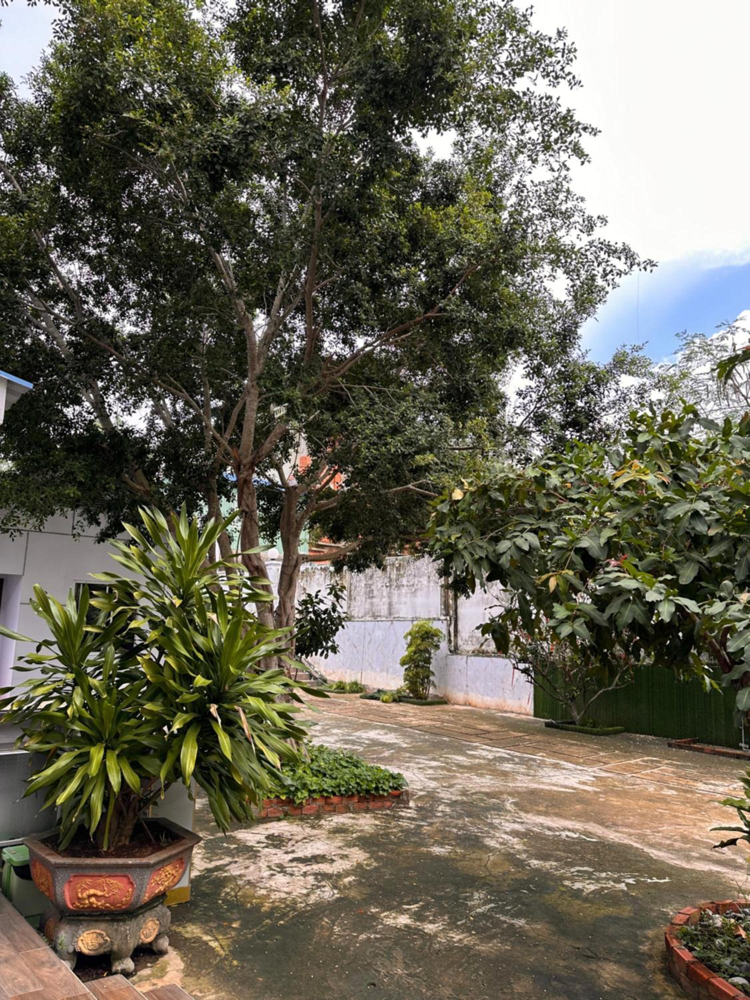 Bungalow Hotel Chi Khu Co Ong 外观 照片