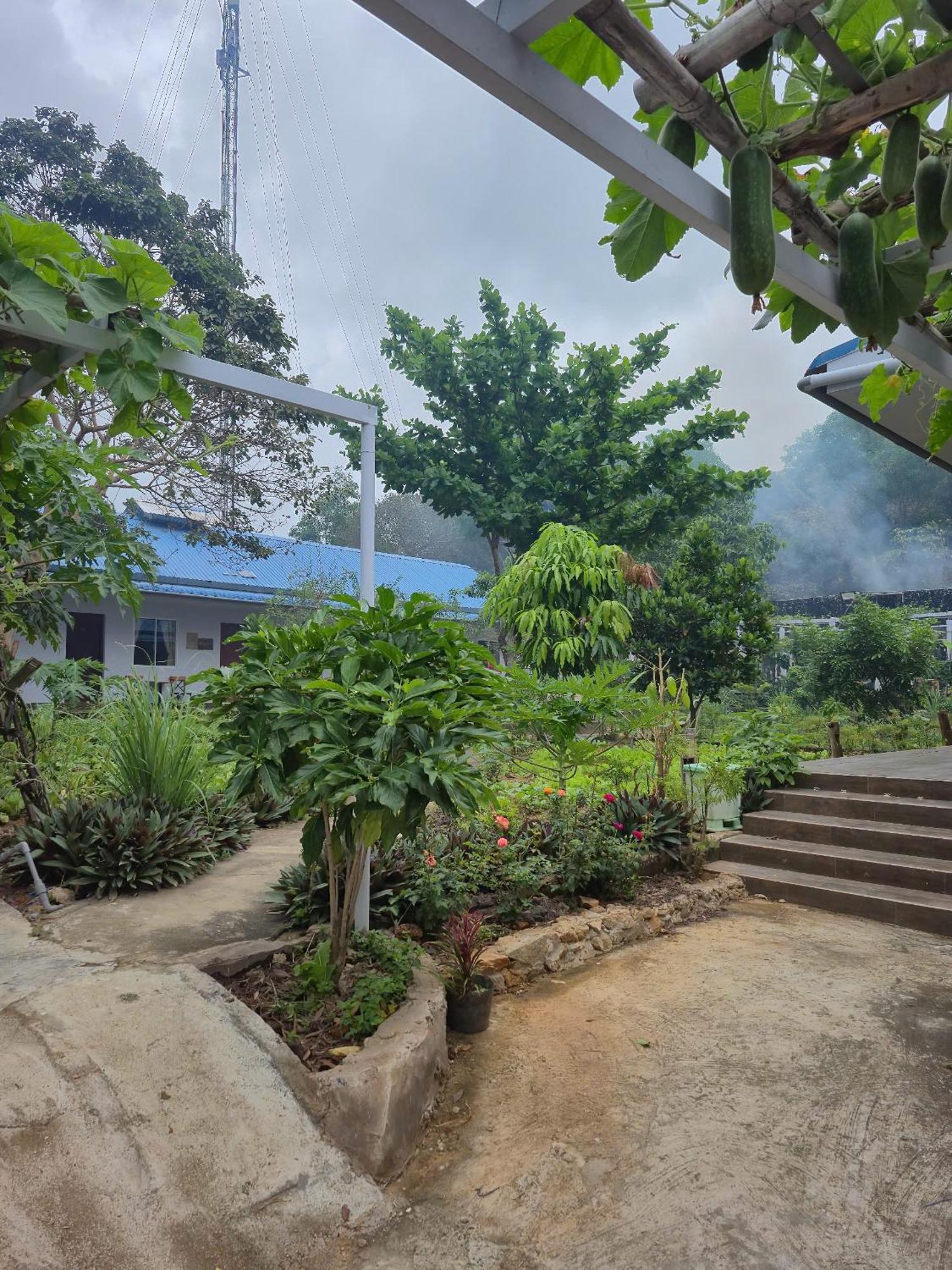 Bungalow Hotel Chi Khu Co Ong 外观 照片
